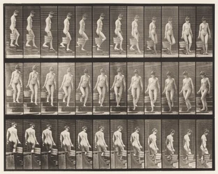 Treppen hinuntergehen; Eimer Wasser in der rechten Hand drehen