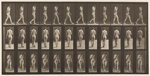 Tafel 14. Gehen, rechte Hand am Kinn, 1872-1885