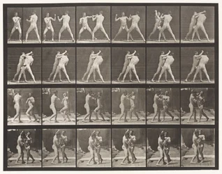 Tafel 330. Boxen; Cross-Counter (Schuhe)