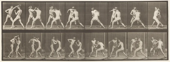 Tafel 342. Boxen; Offene Hand, 1872-1885