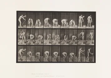 Tafel 505. Mauern