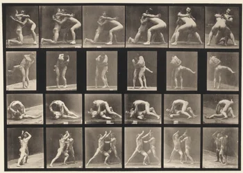 Tafel 520. A, 98 und 100 Ringen; B, 98 und 100 Ringen