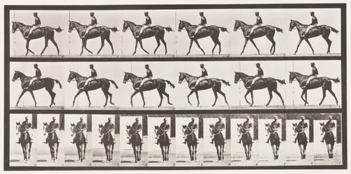 Tafel 580. Gehen; Sattel; Vollblut-Braune Stute Annie G., 1885