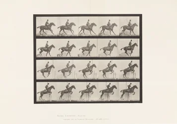 Tafel 636. Hürdensprung; Sattel; Vorbereitung auf den Sprung