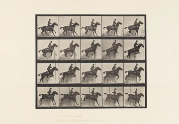 Tafel 638. Hürdensprung; Sattel; Braunes Pferd Daisy