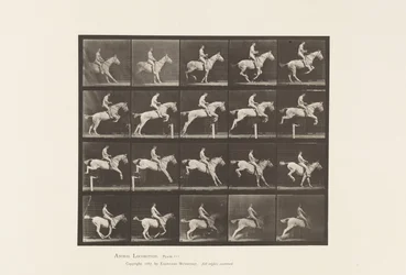 Tafel 642. Hürdensprung; Sattel; Reiter, 105, Nackt; graue Stute, 1885