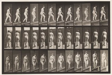 Tafel 86. Abwärts geneigt