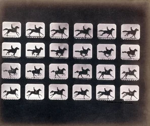 Laufen (Galoppieren) von Eadweard J. Muybridge