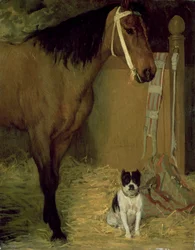 Im Stall, Pferd und Hund, ca. 1862