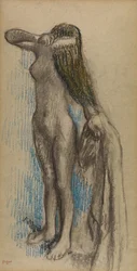 Femme se Coiffant