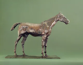 Stehendes Pferd