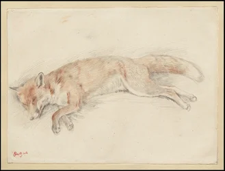 Studie für "Toter Fuchs im Wald"
