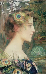 Pfau im Profil