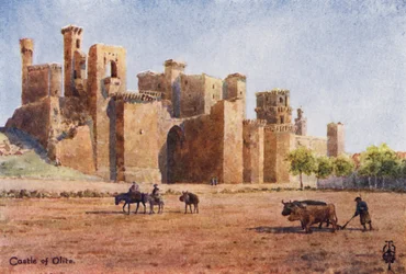 Nordspanien: Olite, Die Burg