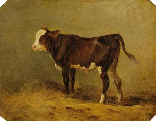 Kälbchen