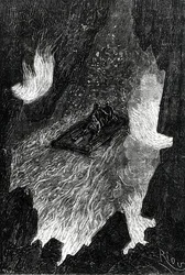Das Floß wogte auf Lavaströmen, Illustration aus 