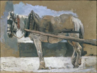 Gezäumtes Pferd