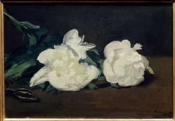 Zweig weißer Pfingstrosen und Gartenschere. Gemälde von Edouard Manet (1832-1883) 1864. Paris, Musée d