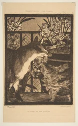 Katze und Blumen. Illustration zu Die Katzen von Champfleury, 1869