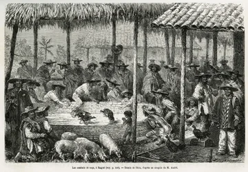 Hahnenkampf und Straßentreiben in Ibagué (Kolumbien), Zeichnung von Riou zur Illustration des Berichts über das äquatoriale Amerika (Kolumbien, Ecuador, Peru) in den Jahren 1875-1876 von Ed. André, einem im Auftrag der französischen Regierung reisenden