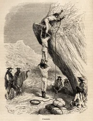 Der Aufstieg der Gipfel der Anden durch die Marcoy-Expedition erfordert die akrobatischsten Mittel: hier, um einen felsigen Gipfel zu erklimmen, klettern die Indianer auf die Schultern der anderen, um den Gipfel zu erreichen, Gravur von E. Riou zur Illustr