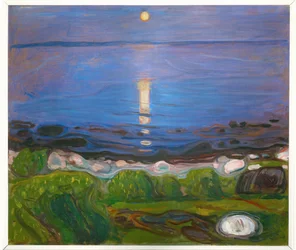Eine Sommernacht am Strand