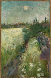 Blumenwiese auf Veierland