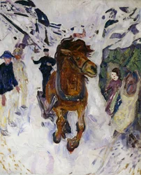 Galoppierendes Pferd