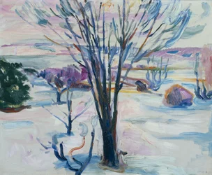 Winterlandschaft von Jeløya