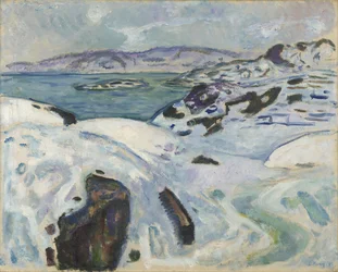 Winter am Fjord