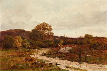 Moorlandschaft