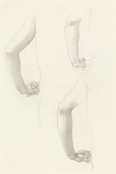 Studien eines Arms und von Händen
