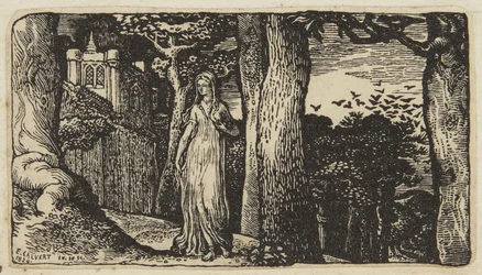 Die Dame mit den Saatkrähen