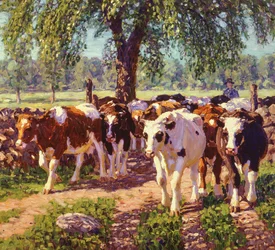 Entlang der Straße