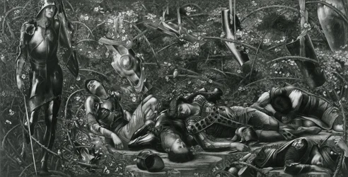 Die Dornröschen-Serie: Das Dornröschen-Wäldchen