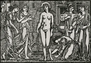 Der Hof der Venus