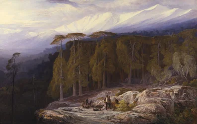 Der Wald von Valdoniello, Korsika, 1869