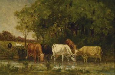 Kühe in der Landschaft