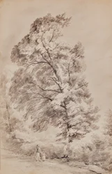 Landschaft mit Bäumen