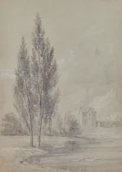 Landschaft mit Bäumen in der Nähe eines Sees