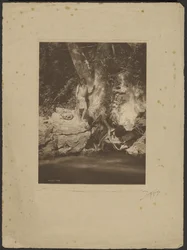 Apache-Schwarzer Fluss (Bei der Platane)