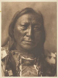 Hollow Horn Bear