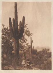 Portfolio II, Platten 40-75
