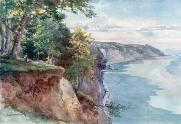 Stubnitz-Wald – Insel Rügen