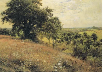 Auf der Wiese