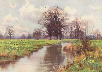 Es ist frei von Last, dieser fröhliche kleine Fluss, und weder Wehr noch Mühle versperren ihm den schnellen Weg zum Meer (Farblithografie)