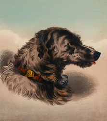 Der Hirschhund (?)