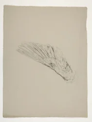 Studie eines Flügels für die Kindheit von Galahad, aus der Suche nach dem Heiligen Gral (eine Serie von fünfzehn Gemälden für die Boston Public Library, abgeschlossen 1901)