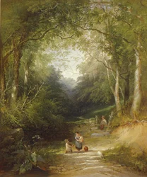 Ein Pfad durch den Wald