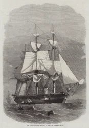 HM Dampffregatte Racoon, 22 Kanonen